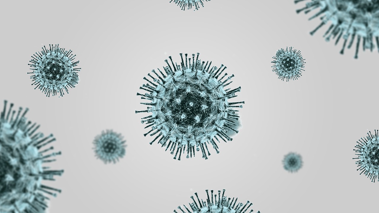 Coronavirus Covid  Virus Pandemic  - Vladimir_Fayl / Pixabay