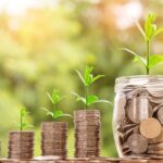 Money Coin Investment Business  - nattanan23 / Pixabay