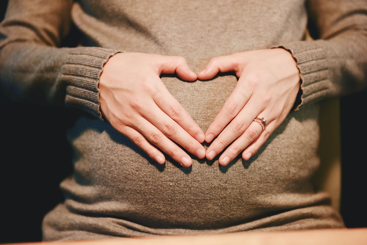 Pregnant Woman Maternity Motherhood  - StockSnap / Pixabay