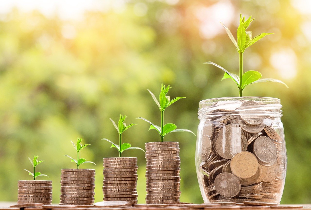 Money Coin Investment Business  - nattanan23 / Pixabay
