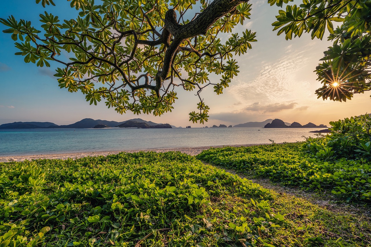 Sunset Sand Beach Islands Leaf  - Kanenori / Pixabay